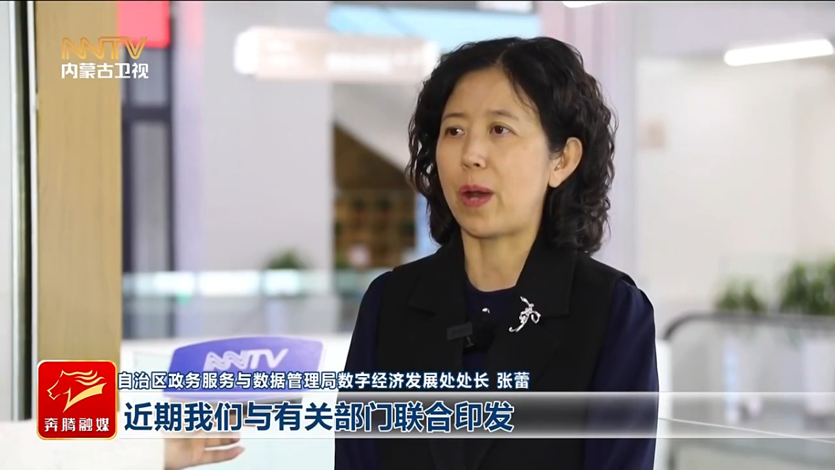 视频截图
