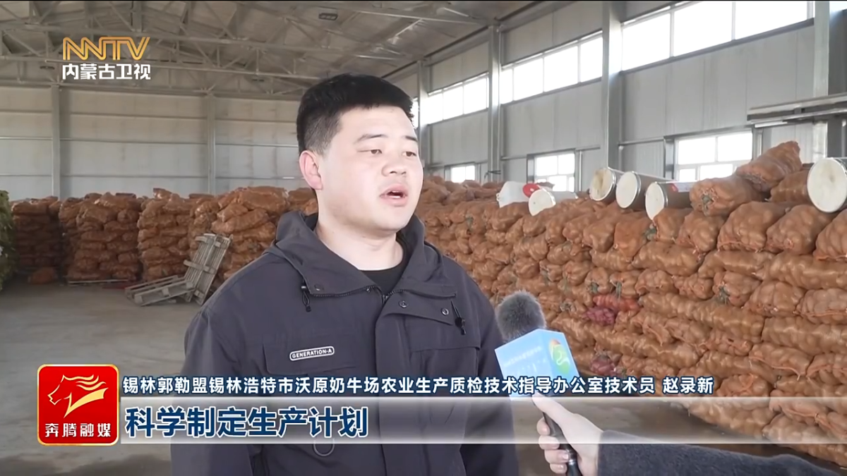 视频截图