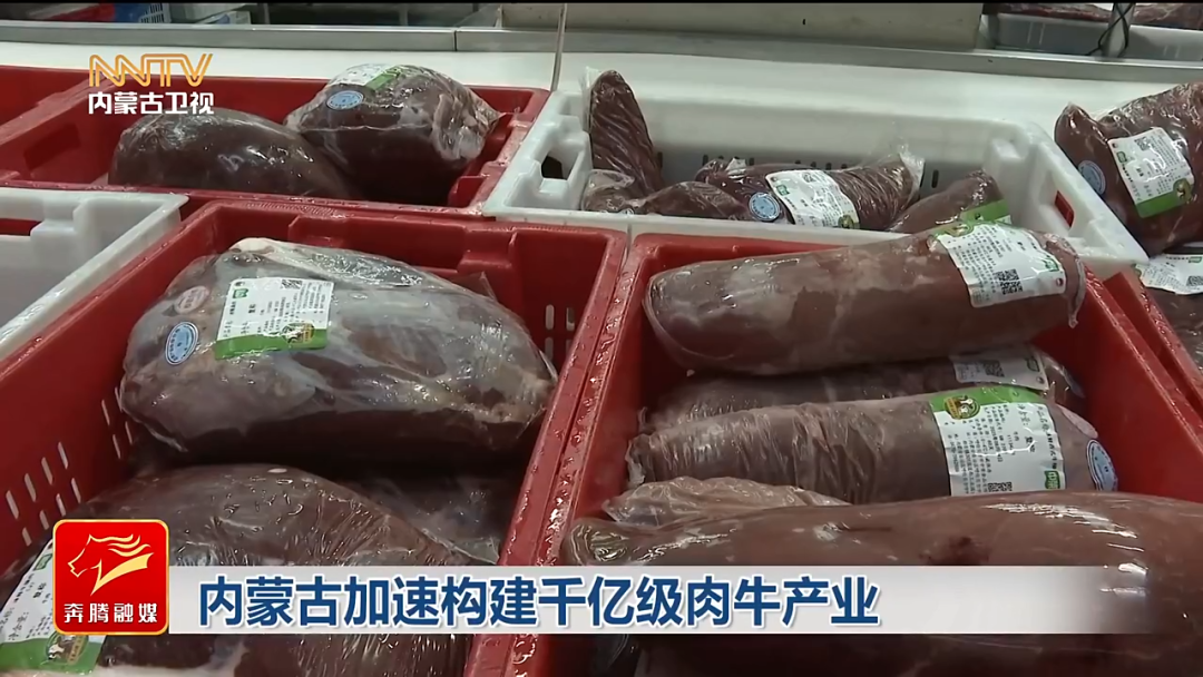 视频截图