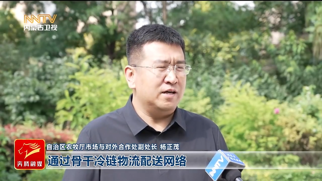 视频截图