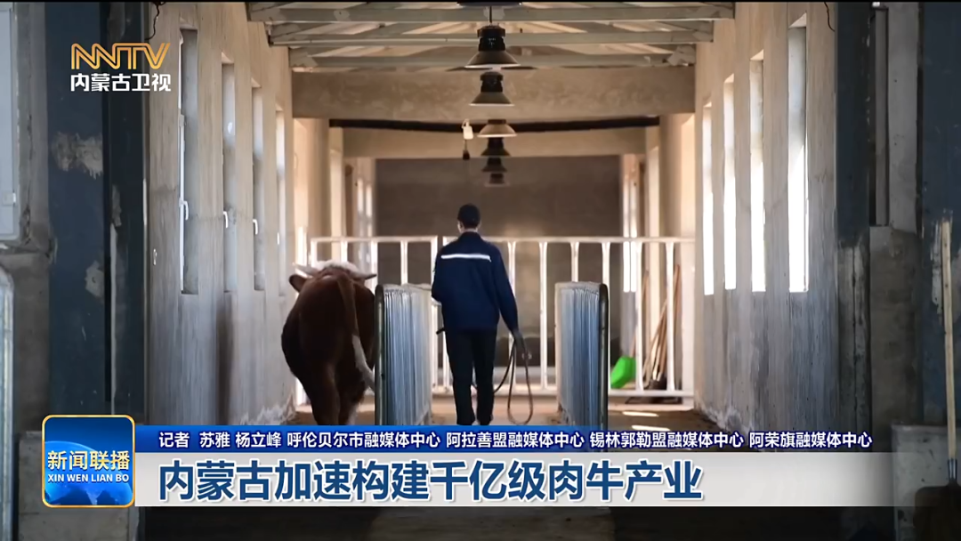 视频截图