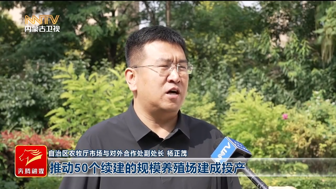 视频截图