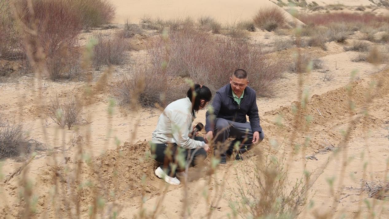 E89A9859[00-00-03][20260427-154843207]