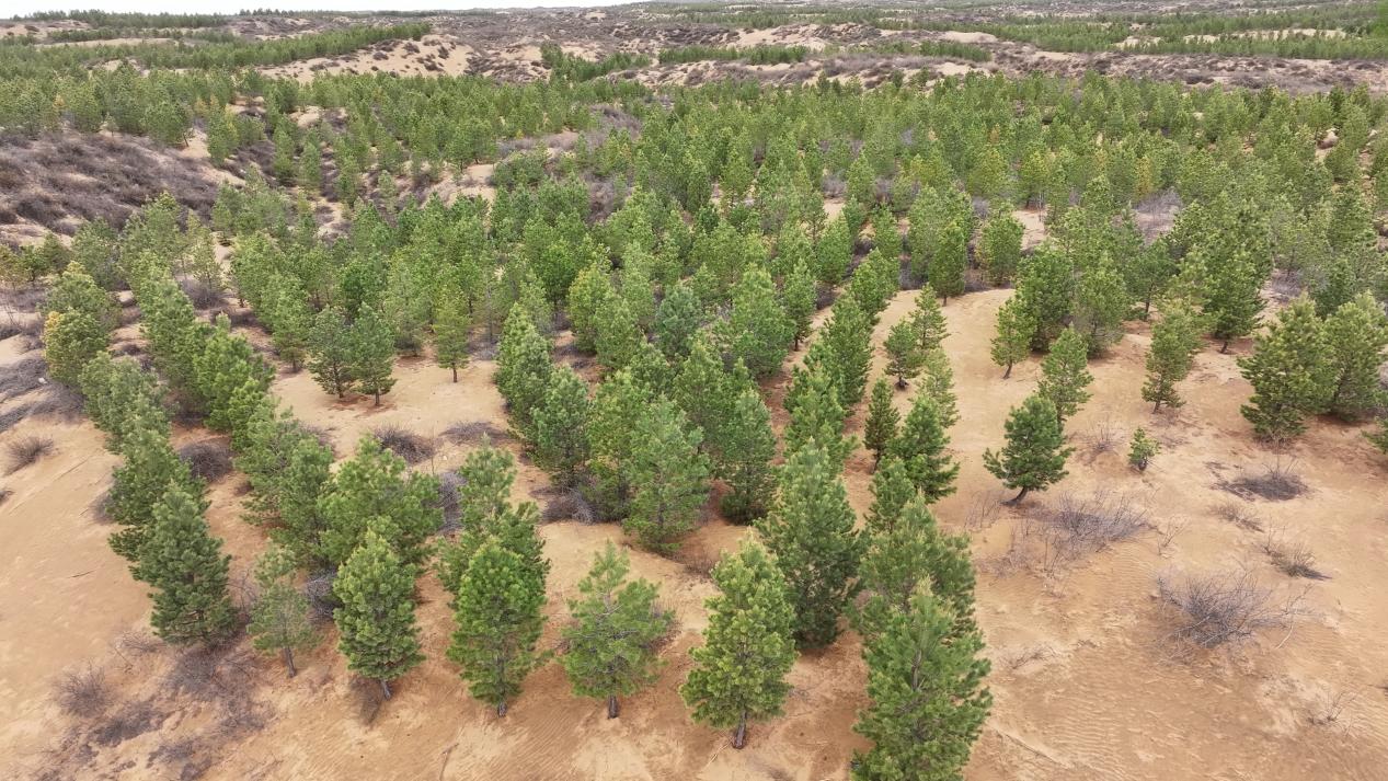 DJI_20260416110905_0597_D[00-00-11][20260427-154343315]